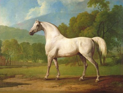 Mambrino, ca. 1790 von George Stubbs